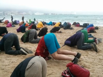 wellington-heads-in-sand-close-up1.jpg and 