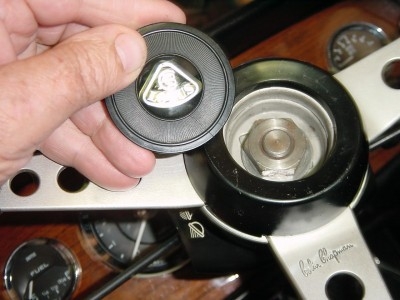 HORN BUTTON 003 (Copy).JPG