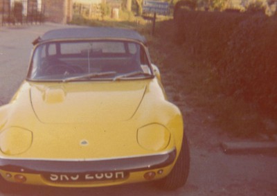 rsz_yello_lotus_76.jpg and 