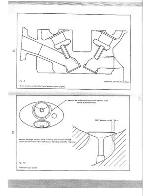 headscan1.jpg and 