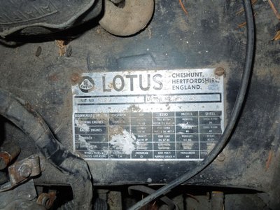 Lotus3.JPG and 